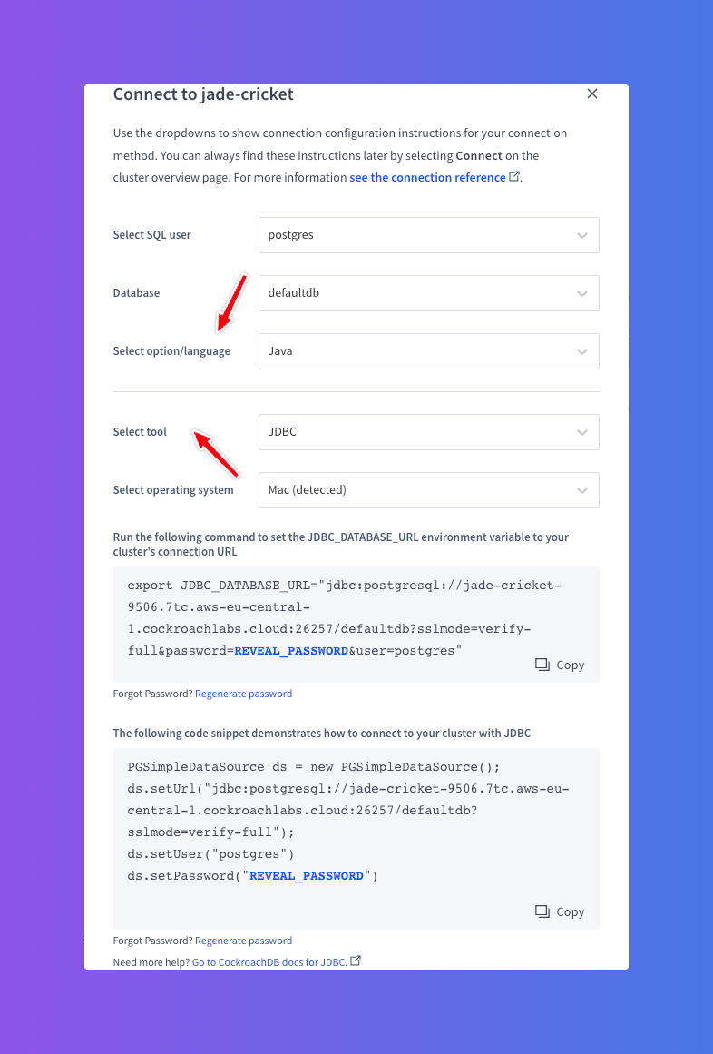 CockroachDB Connection Details CockroachDB Connection Details